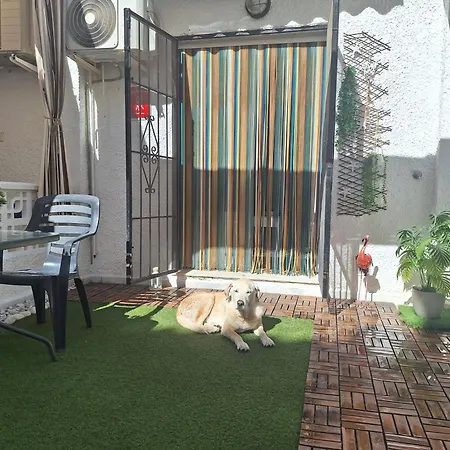 Mi Casita *